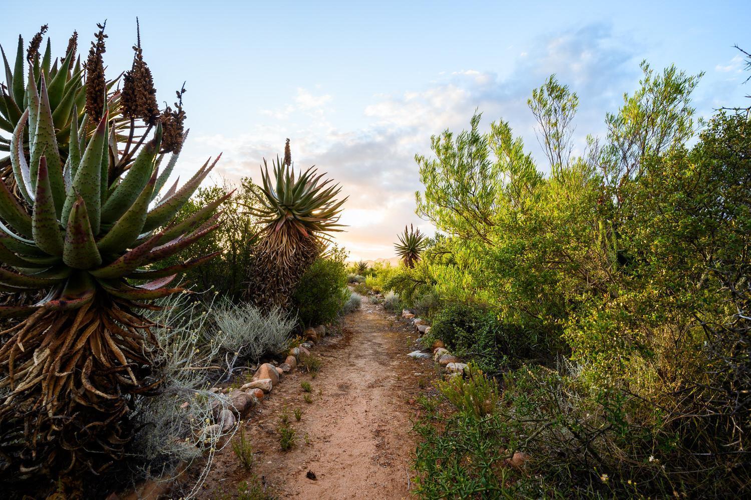 Le Petit Karoo Ranch Bed & Breakfast Oudtshoorn Eksteriør bilde