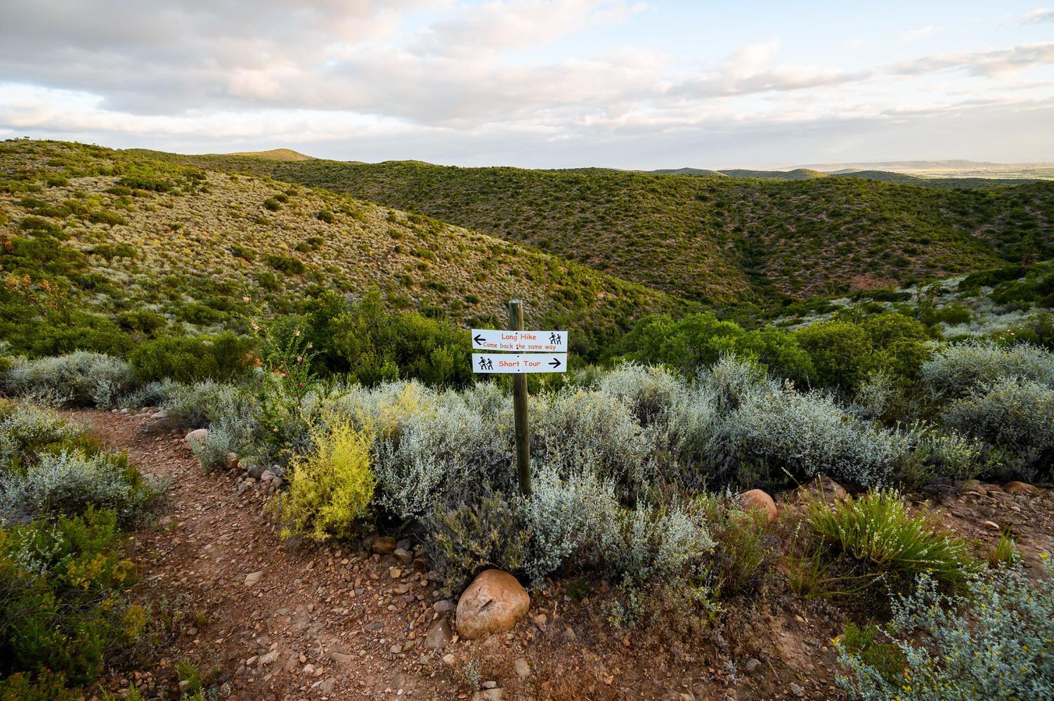 Le Petit Karoo Ranch Bed & Breakfast Oudtshoorn Eksteriør bilde