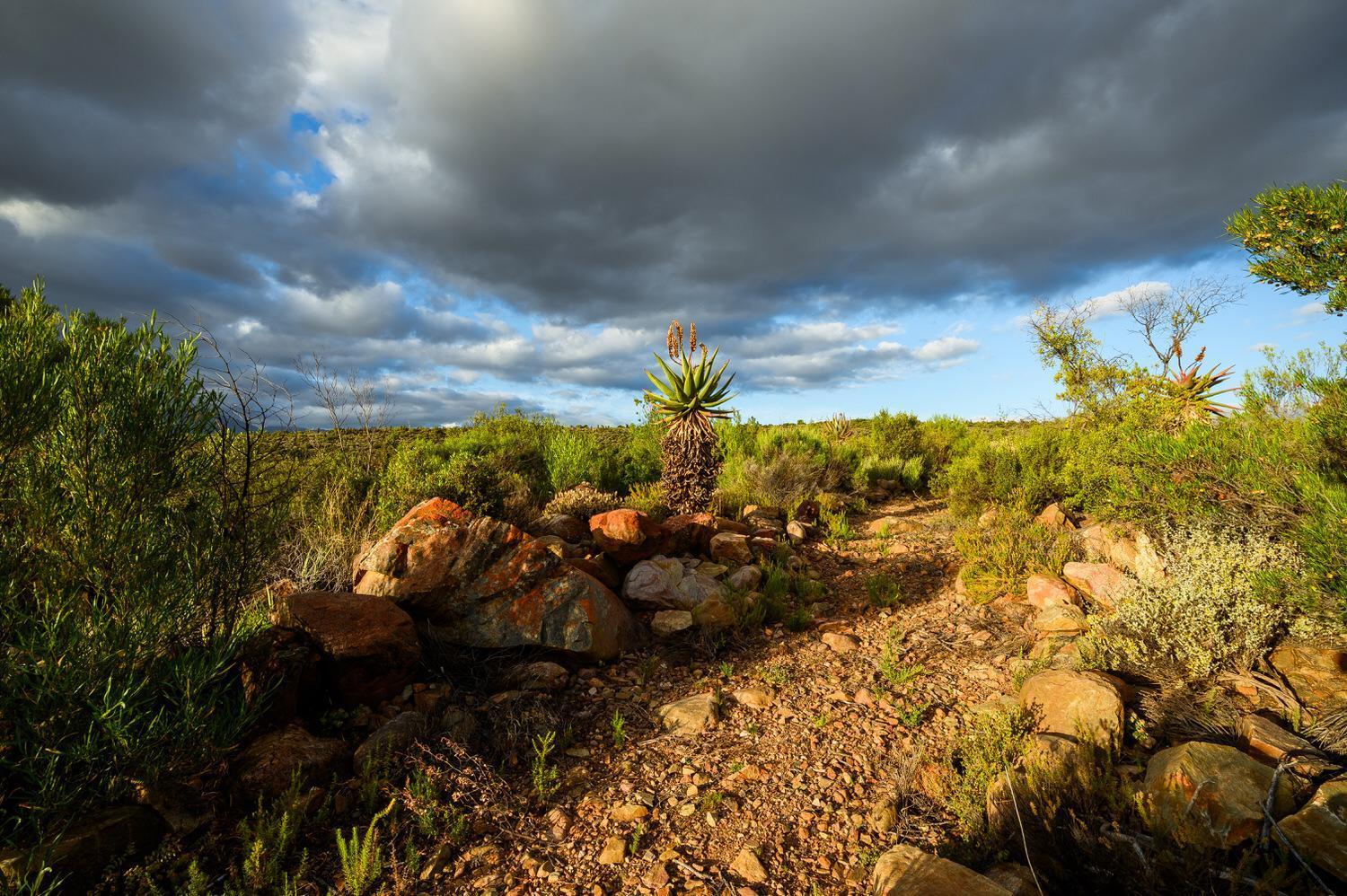Le Petit Karoo Ranch Bed & Breakfast Oudtshoorn Eksteriør bilde