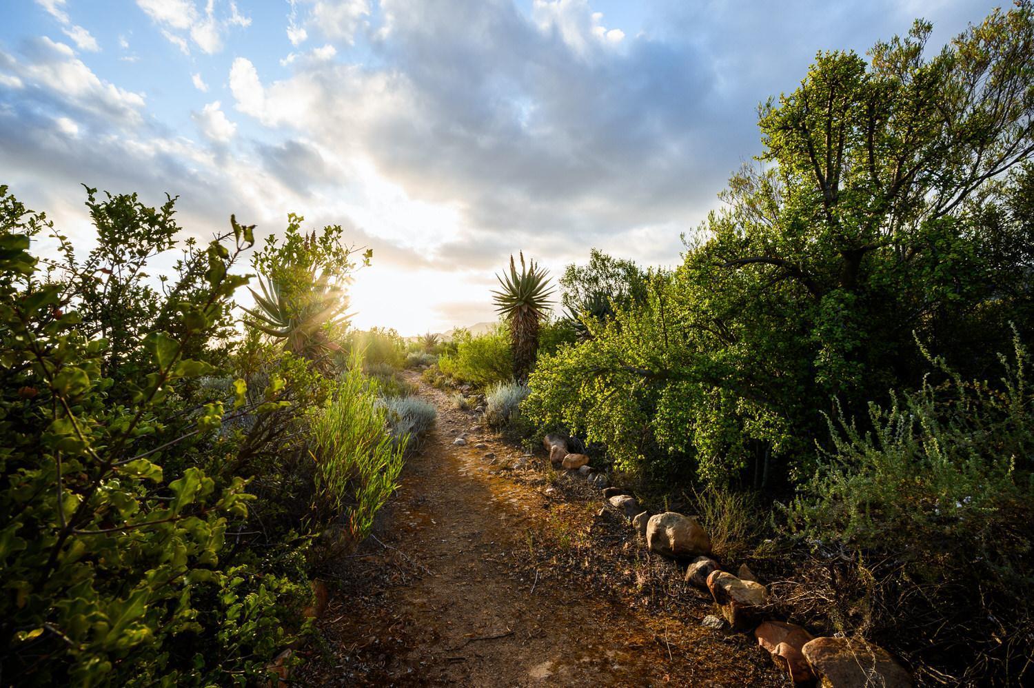 Le Petit Karoo Ranch Bed & Breakfast Oudtshoorn Eksteriør bilde