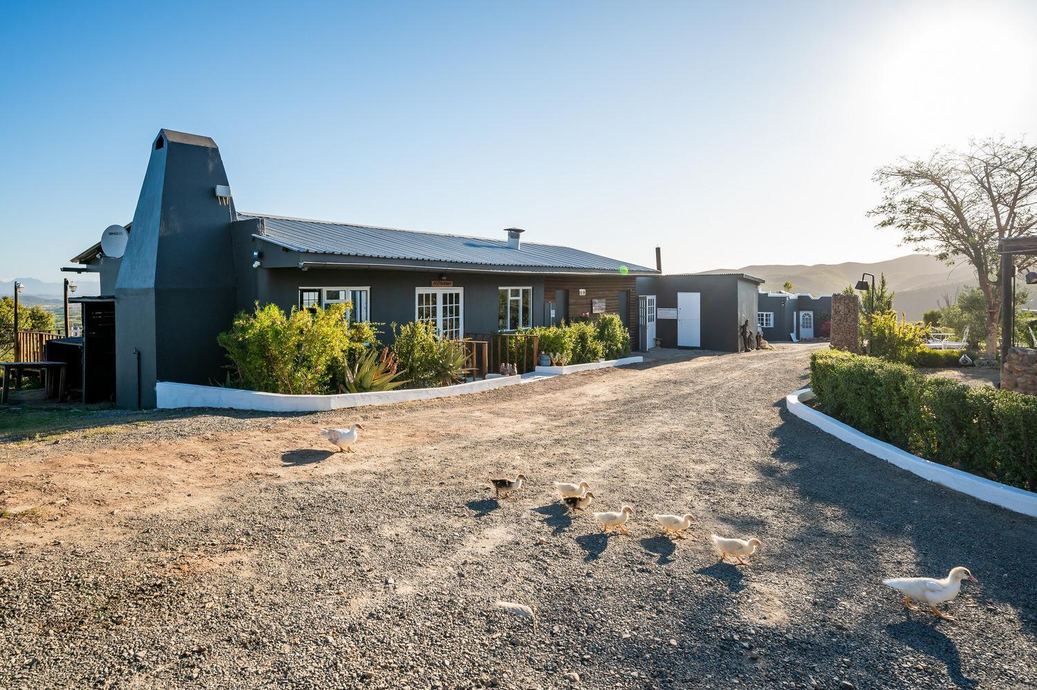 Le Petit Karoo Ranch Bed & Breakfast Oudtshoorn Eksteriør bilde