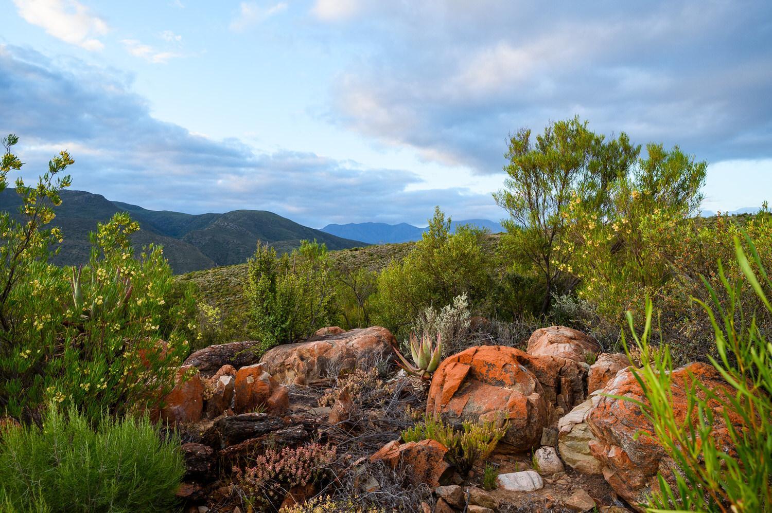 Le Petit Karoo Ranch Bed & Breakfast Oudtshoorn Eksteriør bilde