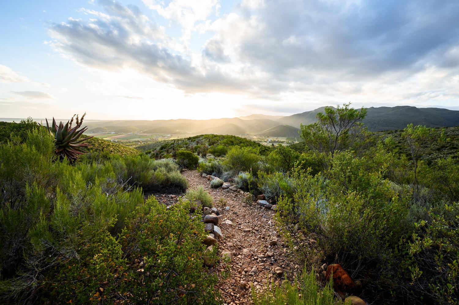 Le Petit Karoo Ranch Bed & Breakfast Oudtshoorn Eksteriør bilde