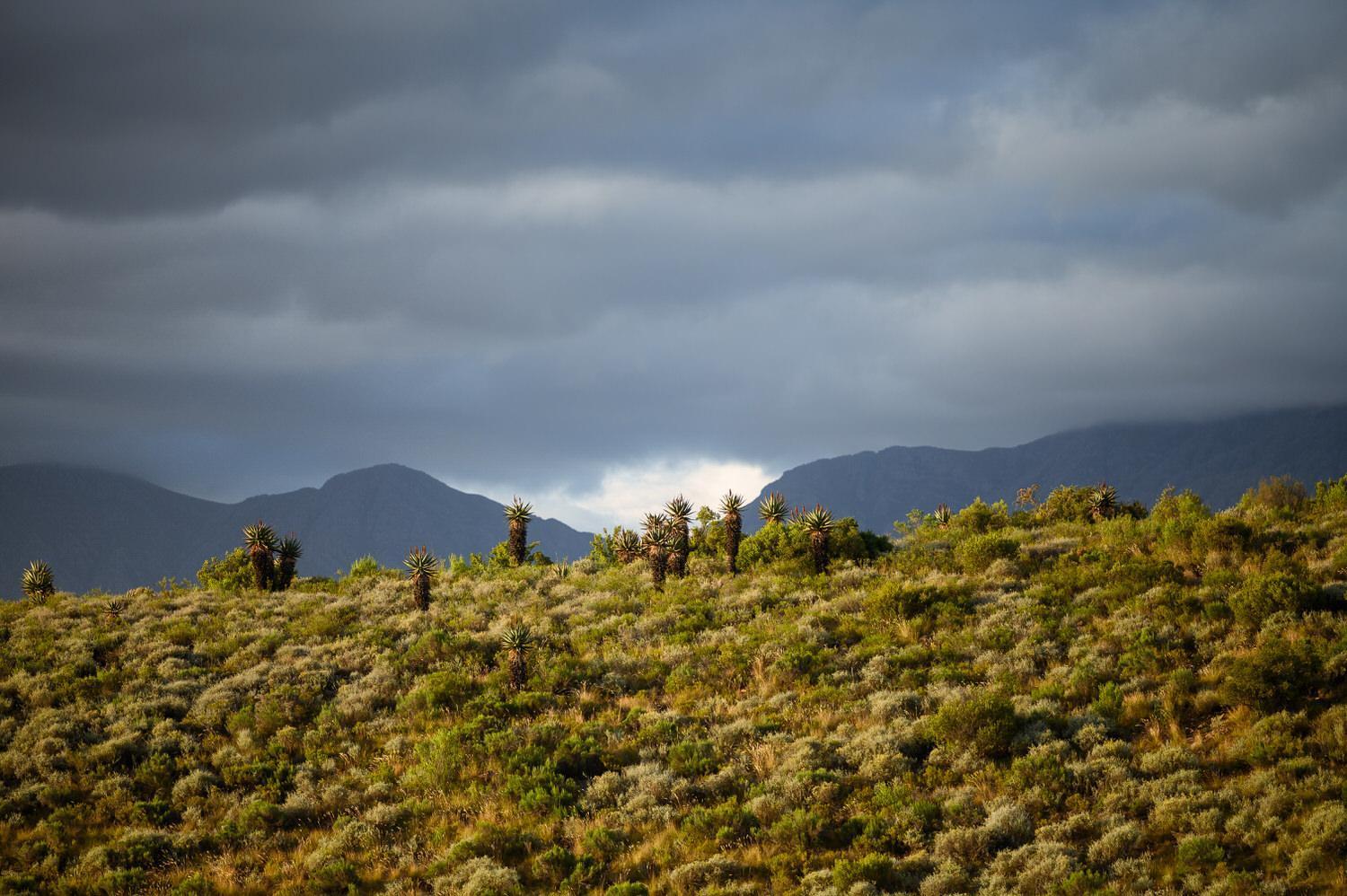 Le Petit Karoo Ranch Bed & Breakfast Oudtshoorn Eksteriør bilde