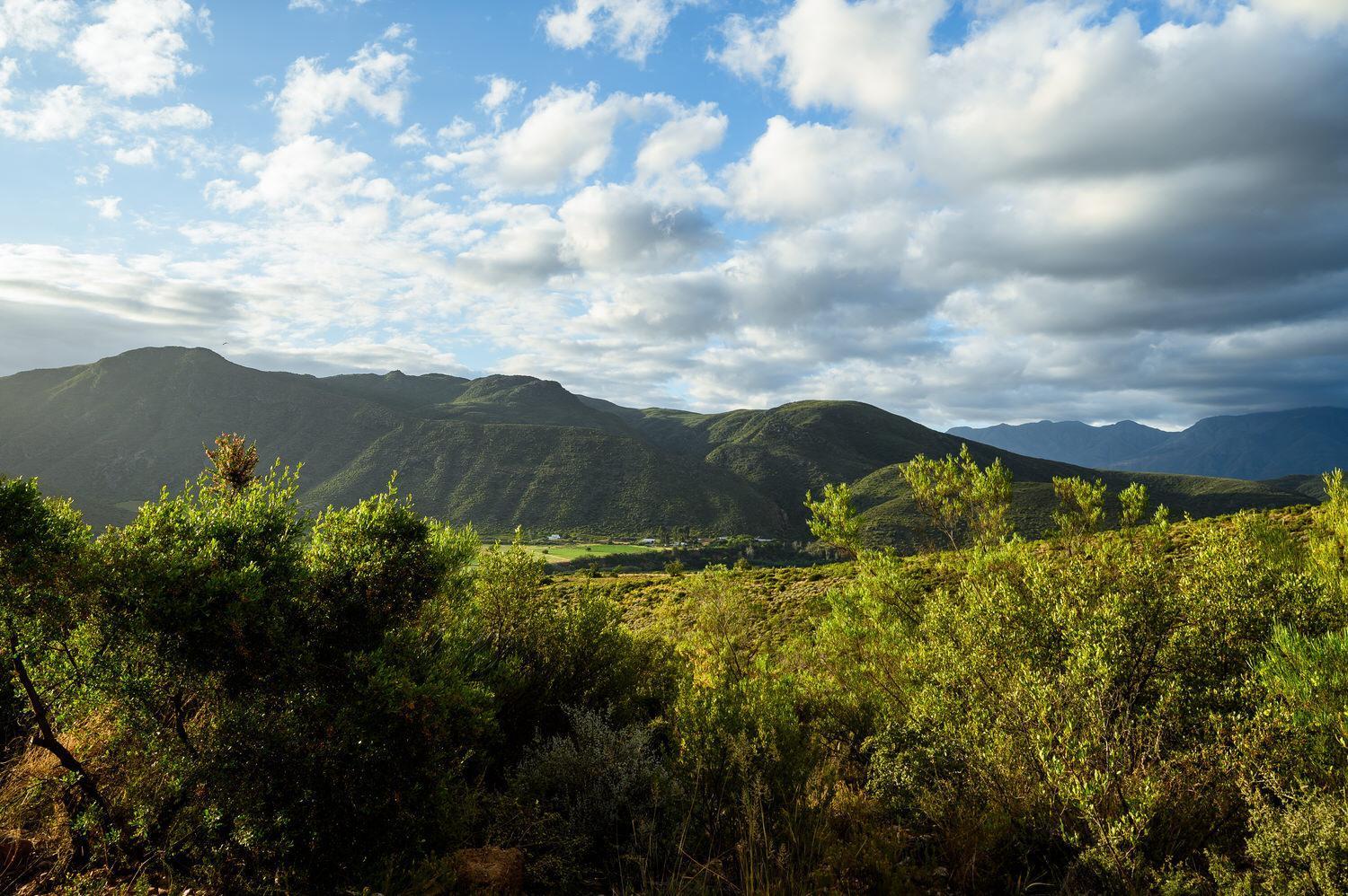 Le Petit Karoo Ranch Bed & Breakfast Oudtshoorn Eksteriør bilde