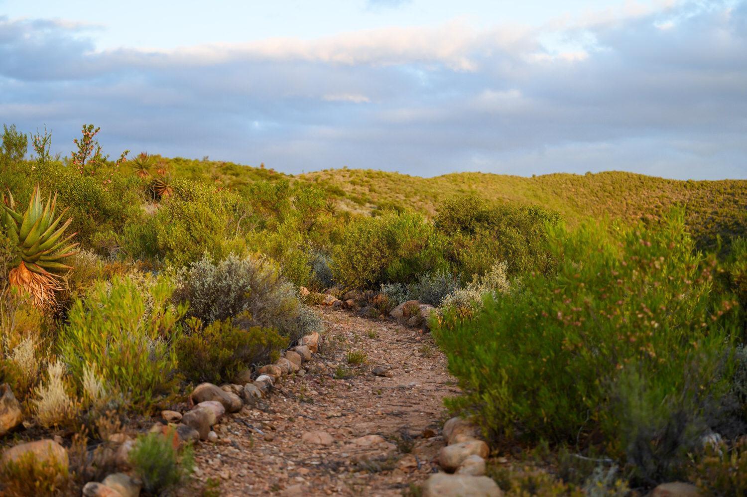 Le Petit Karoo Ranch Bed & Breakfast Oudtshoorn Eksteriør bilde